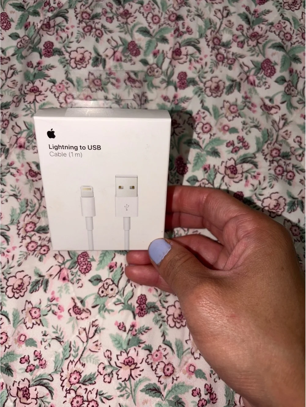 Apple Lightning to USB Cable (1m)